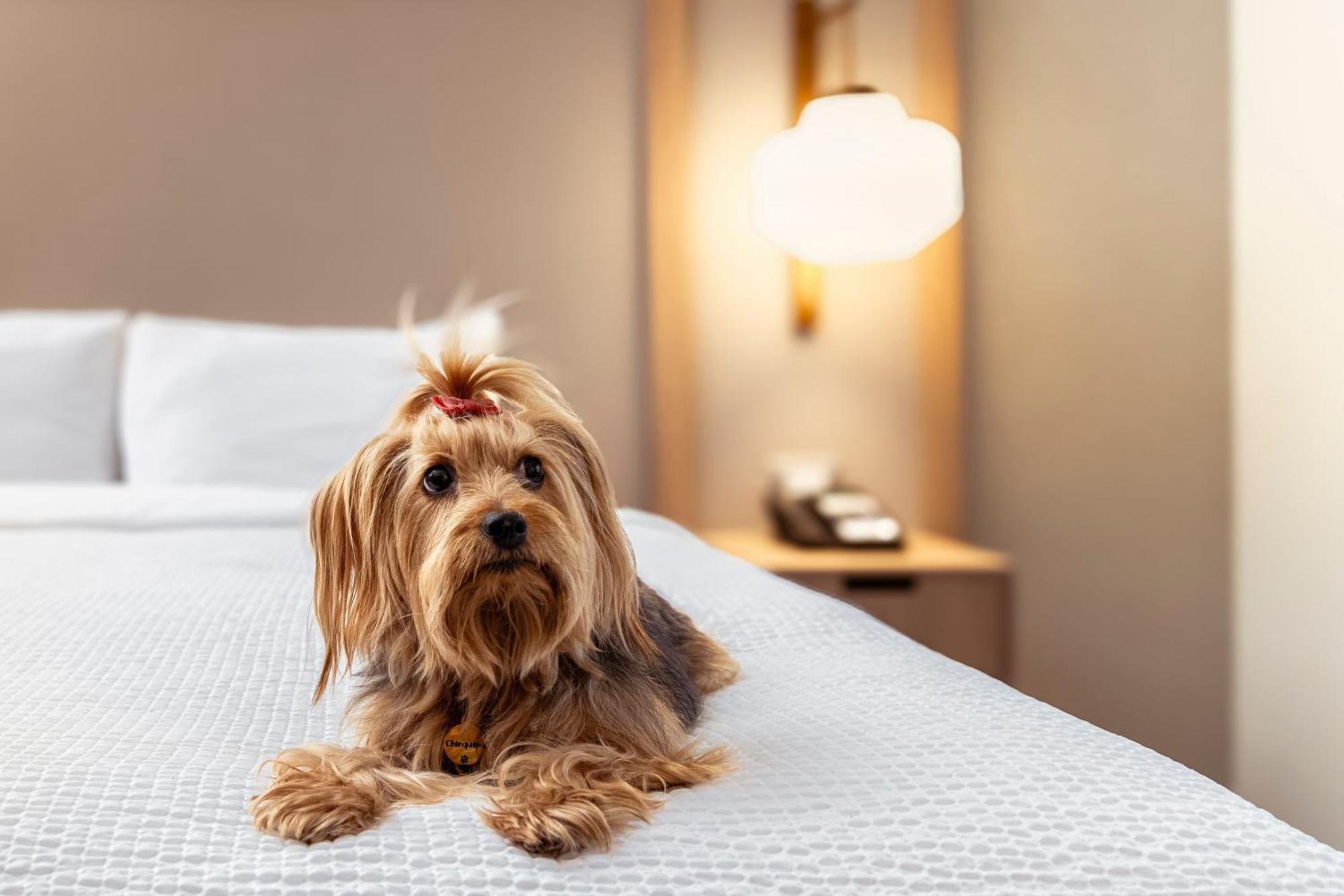 Fairfield By Marriott Lima Miraflores Ngoại thất bức ảnh