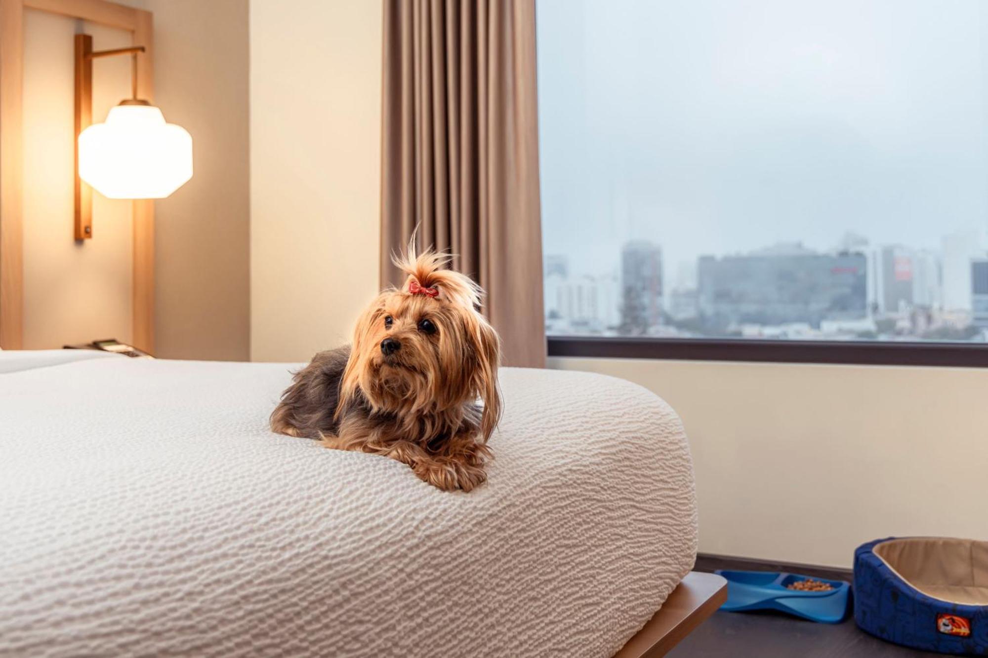 Fairfield By Marriott Lima Miraflores Ngoại thất bức ảnh